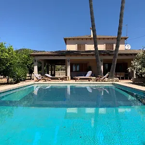  Ferienhaus Finca Sa Terra Grossa